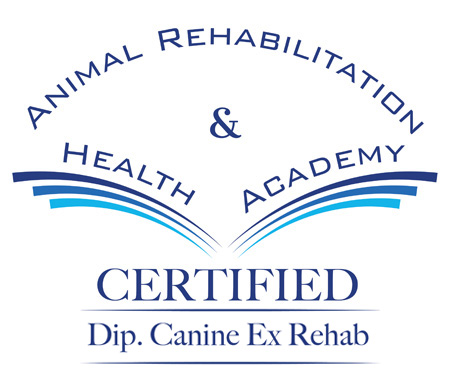 Dip Canine Ex Rehab